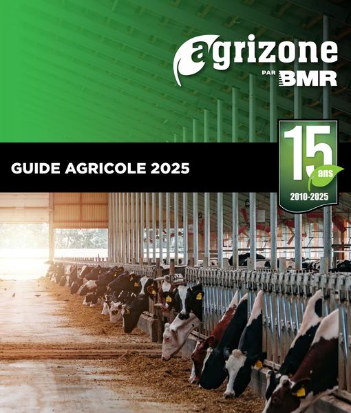 Circulaire BMR Le Groupe du 2 janvier au 31 décembre 2025