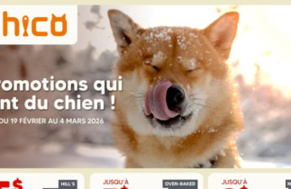 Circulaire Chico du 19 février au 4 mars 2026