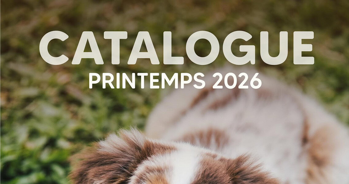 Circulaire Chico du 16 mars au 27 mai 2026