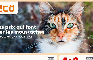 Circulaire Chico du 22 mars au 1 avril 2026