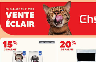 Circulaire Chico du 26 mars au 1 avril 2026