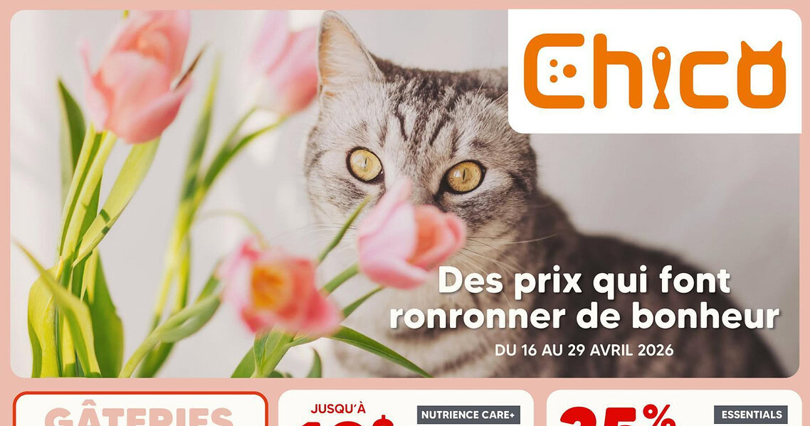 Circulaire Chico du 16 au 29 avril 2026