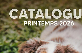 Circulaire Chico du 16 mars au 27 mai 2026