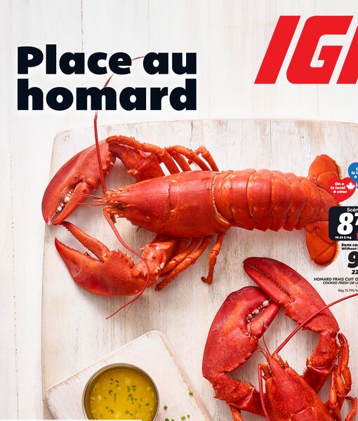 Circulaire IGA du 7 au 13 mai 2026