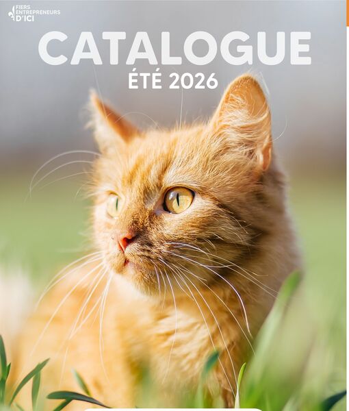 Circulaire Chico du 18 mai au 10 août 2026
