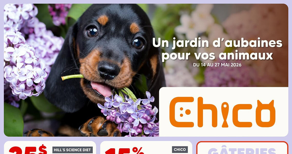 Circulaire Chico du 14 au 27 mai 2026