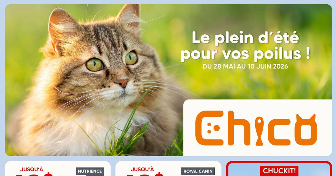 Circulaire Chico du 28 mai au 10 juin 2026