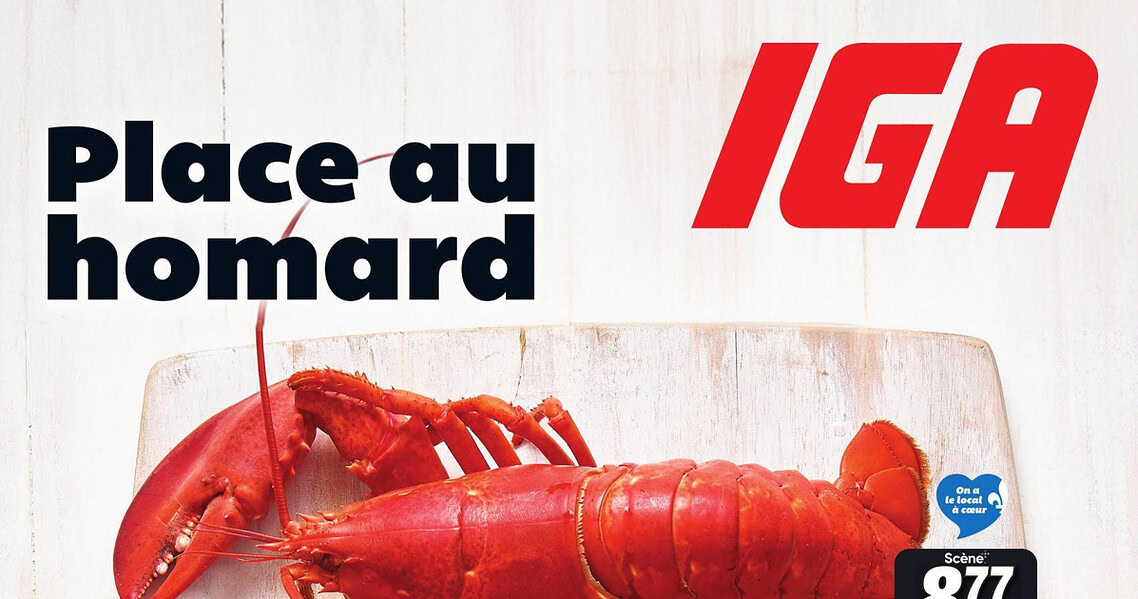 Circulaire IGA du 14 au 20 mai 2026
