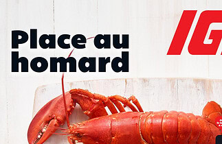 Circulaire IGA du 7 au 13 mai 2026