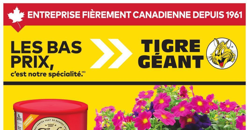 Circulaire Tigre Géant du 6 au 12 mai 2026