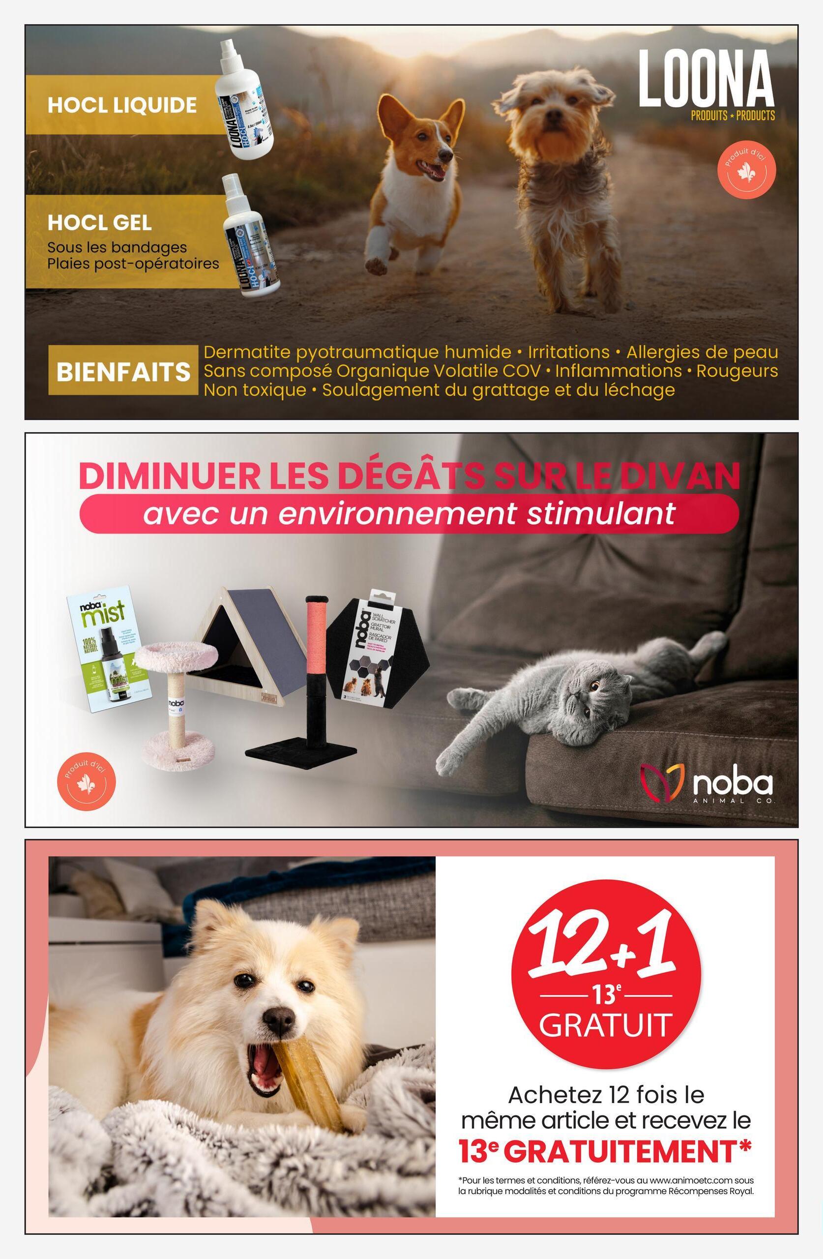 Circulaire page 8