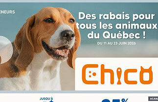 Circulaire Chico du 11 au 23 juin 2026