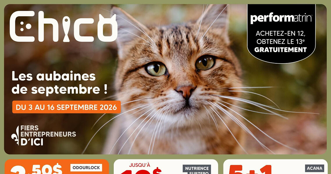 Circulaire Chico du 3 au 16 septembre 2026