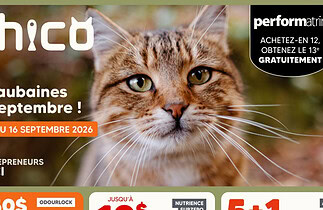 Circulaire Chico du 3 au 16 septembre 2026