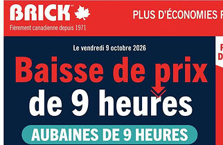 Circulaire Brick du 9 au 21 octobre 2026