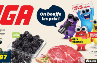 Circulaire IGA du 15 au 21 octobre 2026